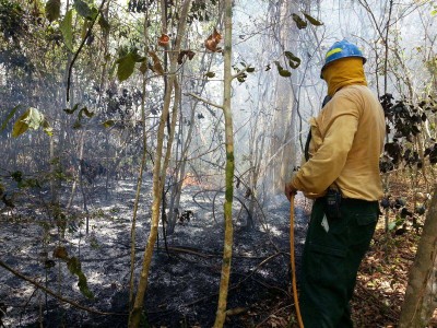 Bombero forestal controla fuego en Reserva Natural Laguna Tortuguero