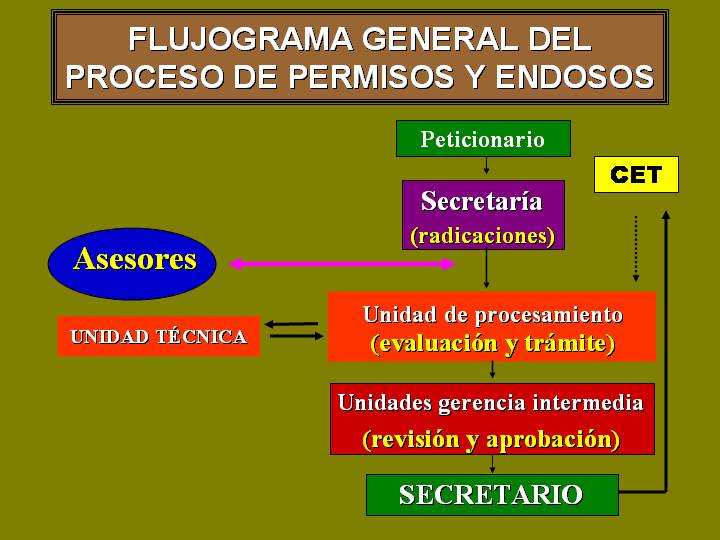 Proceso General