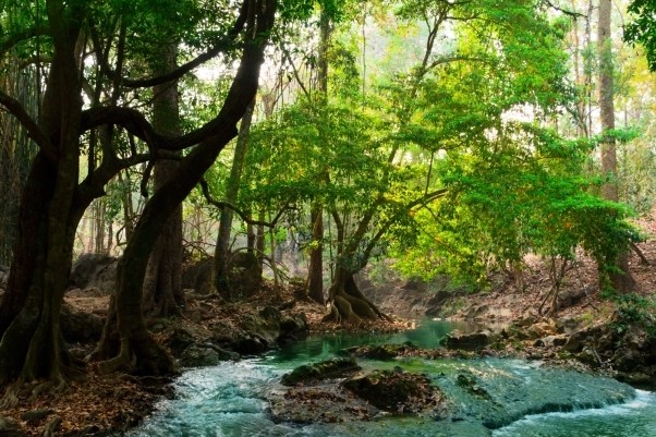 La implantación del PMZC se desarrolla en conocimiento de la realidad socioeconómica, ecológica y física de Puerto Rico, basándose en un enfoque de manejo integral de las cuencas hidrográficas,  procesos de resolución de conflictos y de prácticas innovadoras de planificación apoyadas en la información y tecnología más avanzada disponible.