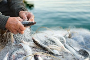 Pescador