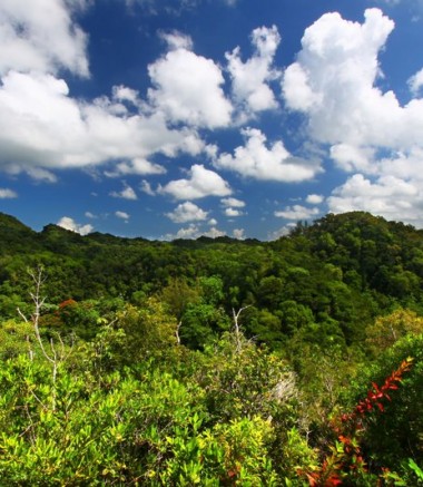 Montañas Montañas