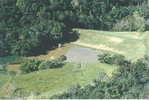 Represa Dagüey, en Añasco