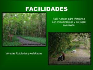 Facilidades BosqueSP