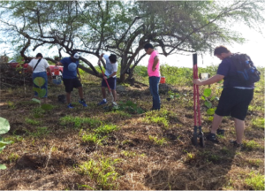 reforestacion5