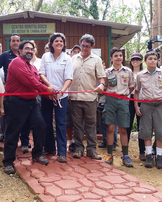 Acuerdos Colaborativos