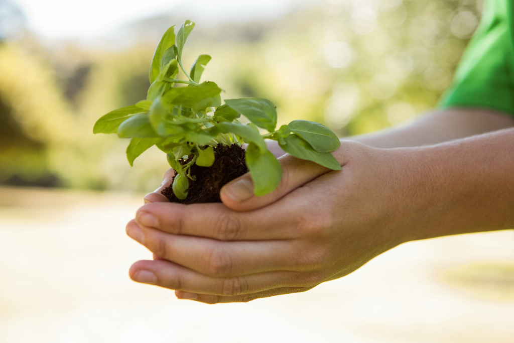 El Programa de Manejo de la Zona Costanera ha iniciado un importante esfuerzo para apoyar el proceso de planificación para la adaptación al cambio climático mediante la elaboración de Planes de Adaptación al Cambio Climático (PACC) en múltiples municipios de Puerto Rico.