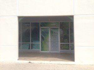 regional de Humacao