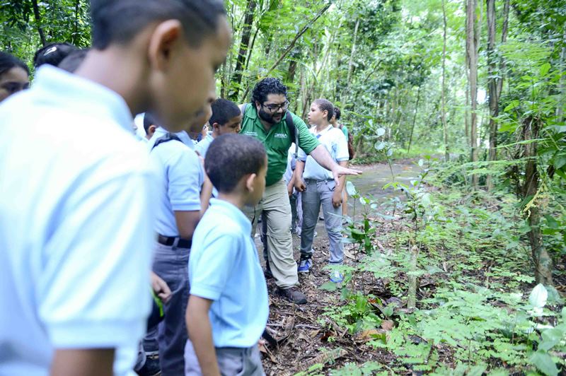 El programa Contacto Verde, establecido mediante la Ley Núm. 36 de 2015, tiene el propósito de garantizar la participación de los estudiantes de todos los niveles del sistema educativo en talleres y visitas a lugares de valor ecológico en Puerto Rico, junto a sus compañeros de estudio y a sus familias. 