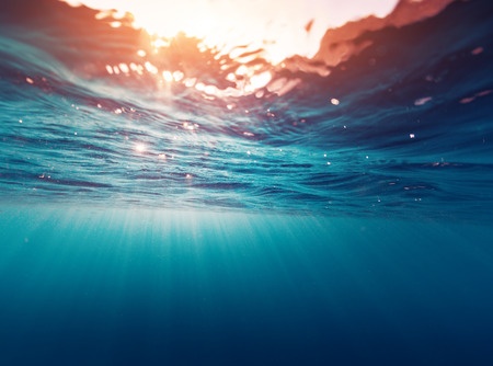 En reconocimiento a la importancia del ambiente marino, las Naciones Unidas declararon el 1998 como Año Internacional del Océano.