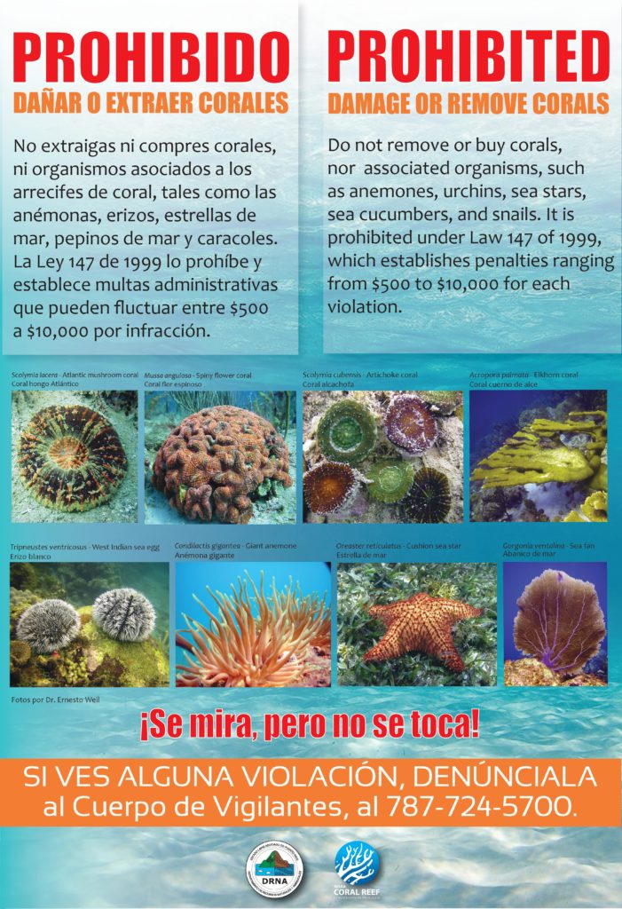 Cartel: Prohibido dañar o extraer corales