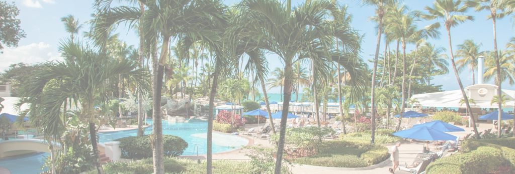 wsfr2019_venue1