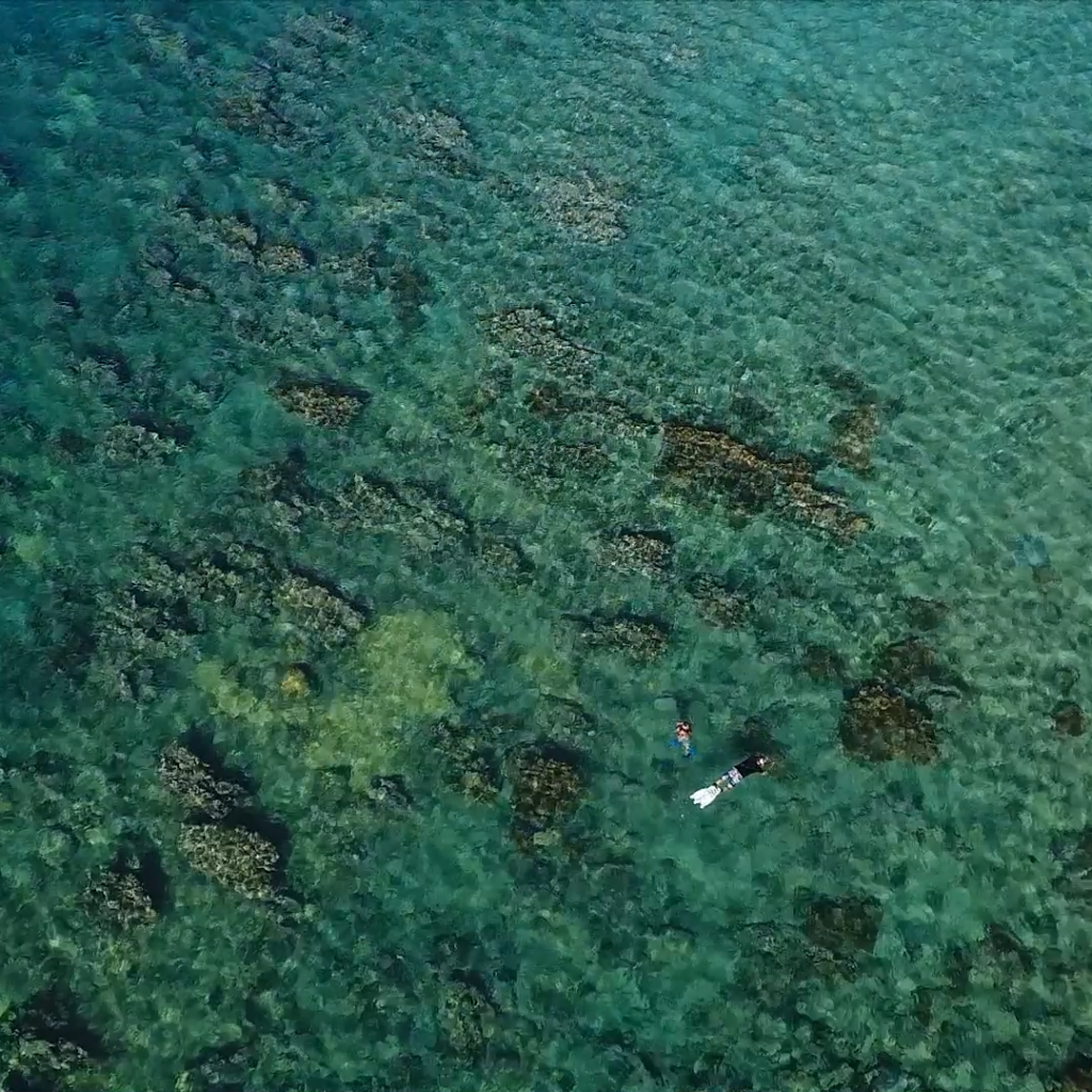Vídeo producido para el Programa de Conservación y Manejo de Arrecifes de Coral.