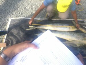 Coleccion de datos torneo de pesca