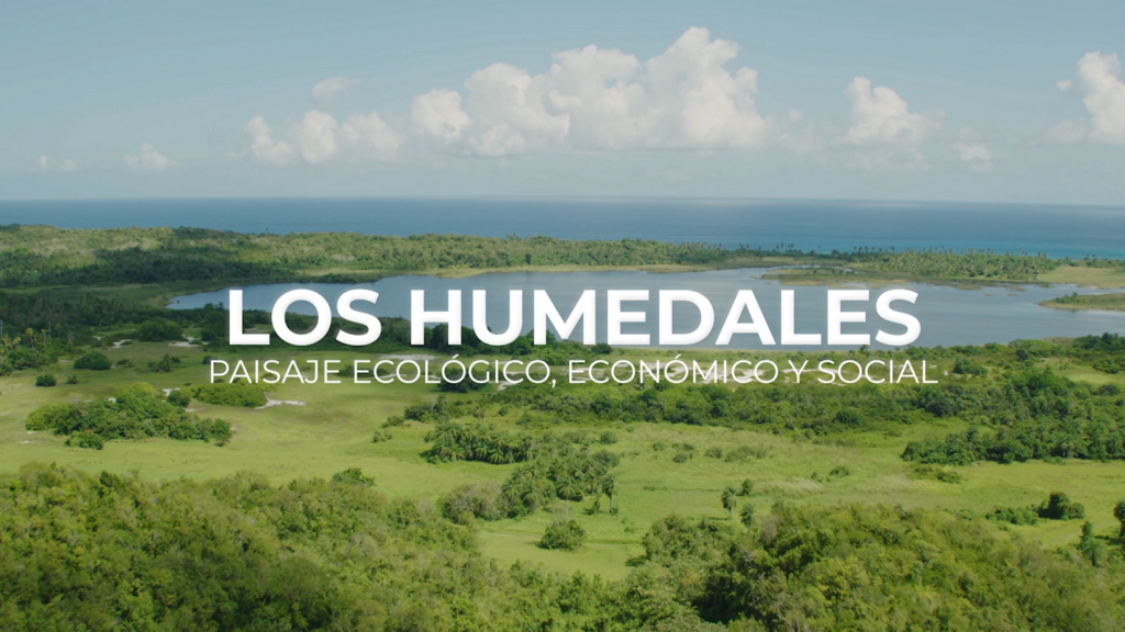 Conoce el valor ecológico, económico y social de los sistemas de humedales en Puerto Rico.