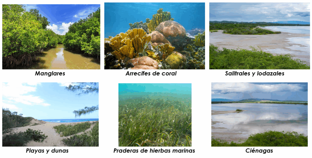 Plan de manejo de los Humedales Costeros de Puerto Rico