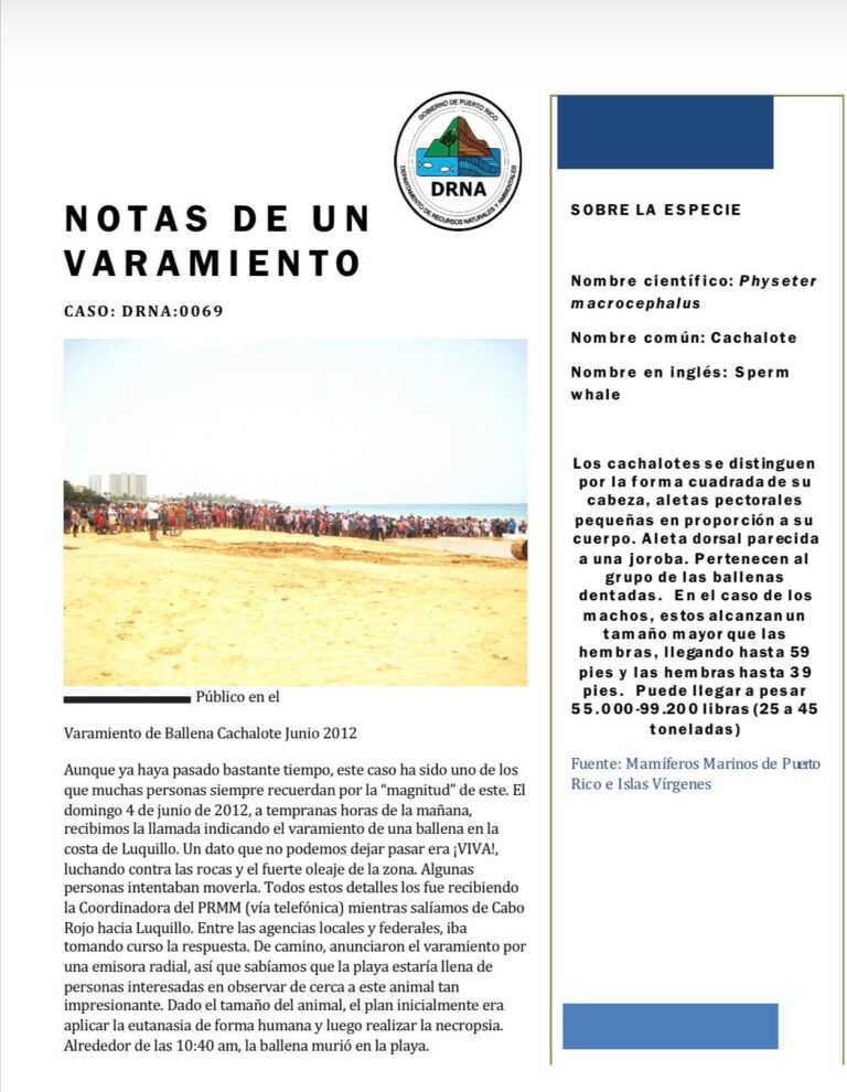 Notas de un varamienti