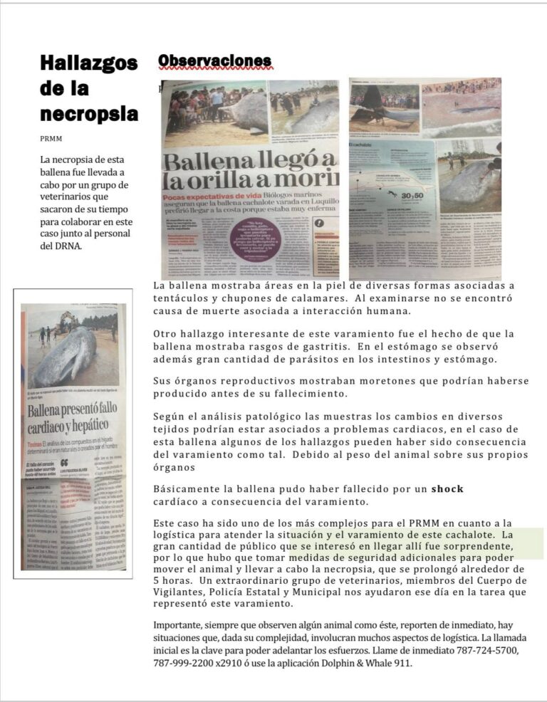 Varamiento Luquillo